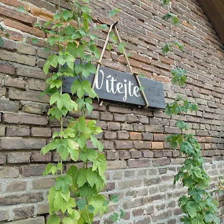 Pivni Lednice 招待所 3*